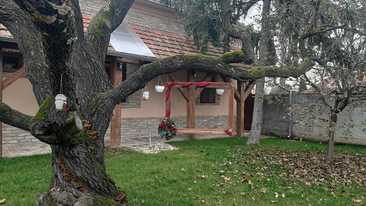 Villa Rusztika Gyula Eksteriør billede